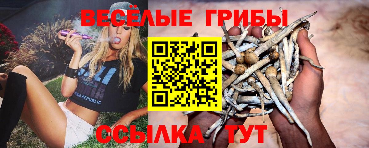 Сарапул  Галлюциногенные грибы ЛСД  Галлюциногенные грибы мухоморы  Вход с VPN 